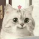 04