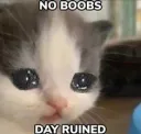 no boobs