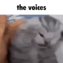 voices 