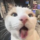 Flabbergasted  wow woahh