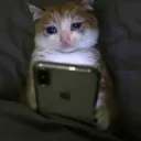 sad kat