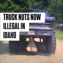 trucknuts