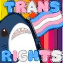 Trans Rights 