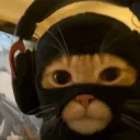 thugcat 