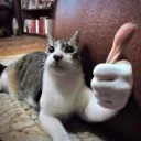 Cat thumbs up 