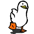 Duck walk