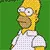 Homer Hide