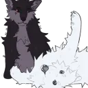 vern flopping near apex