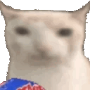cat eating  ghouliez