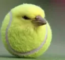 Tennis Bird