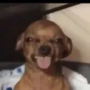 Tounge out