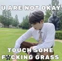 touch grass