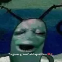 isgrassgreenahquestion