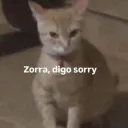 Zorry