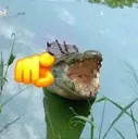 Croco