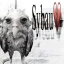 sybau owl