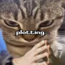Plottingcat