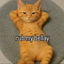 belly rub