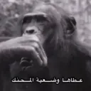 عطاها وضعية المحنك