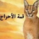 قمة الأحراج