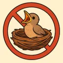 No Baby Birding
