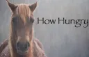 How Hungry