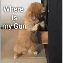 Gun