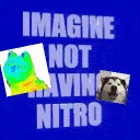 No Nitro Gang