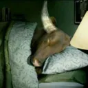 Tirando aquele cochilo 