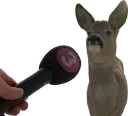 Deer Interview .gg/TheBruh