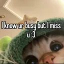 Cat missing u