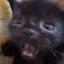 wash my belly .gg/jovu