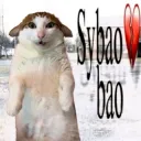 Sybao bao