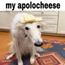 my apolocheese