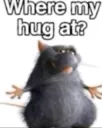 where my hug at (/lupine)