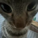 Got any gamesss on your phone