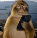 Monkey phone