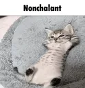 nonchalant