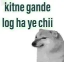 Chi kitne gandhe log ha