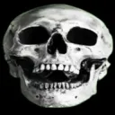:skull: