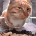 Desconfiado(Luxúria)