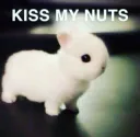 kiss my nuts