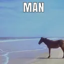 MAN horse