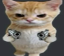 cat gun