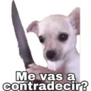 Me vas a contradecir 