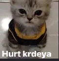 Hurt krdeya