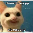 pls respond