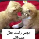ابوس راسك