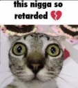 nigga retarded 