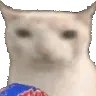 Ruffles Cat